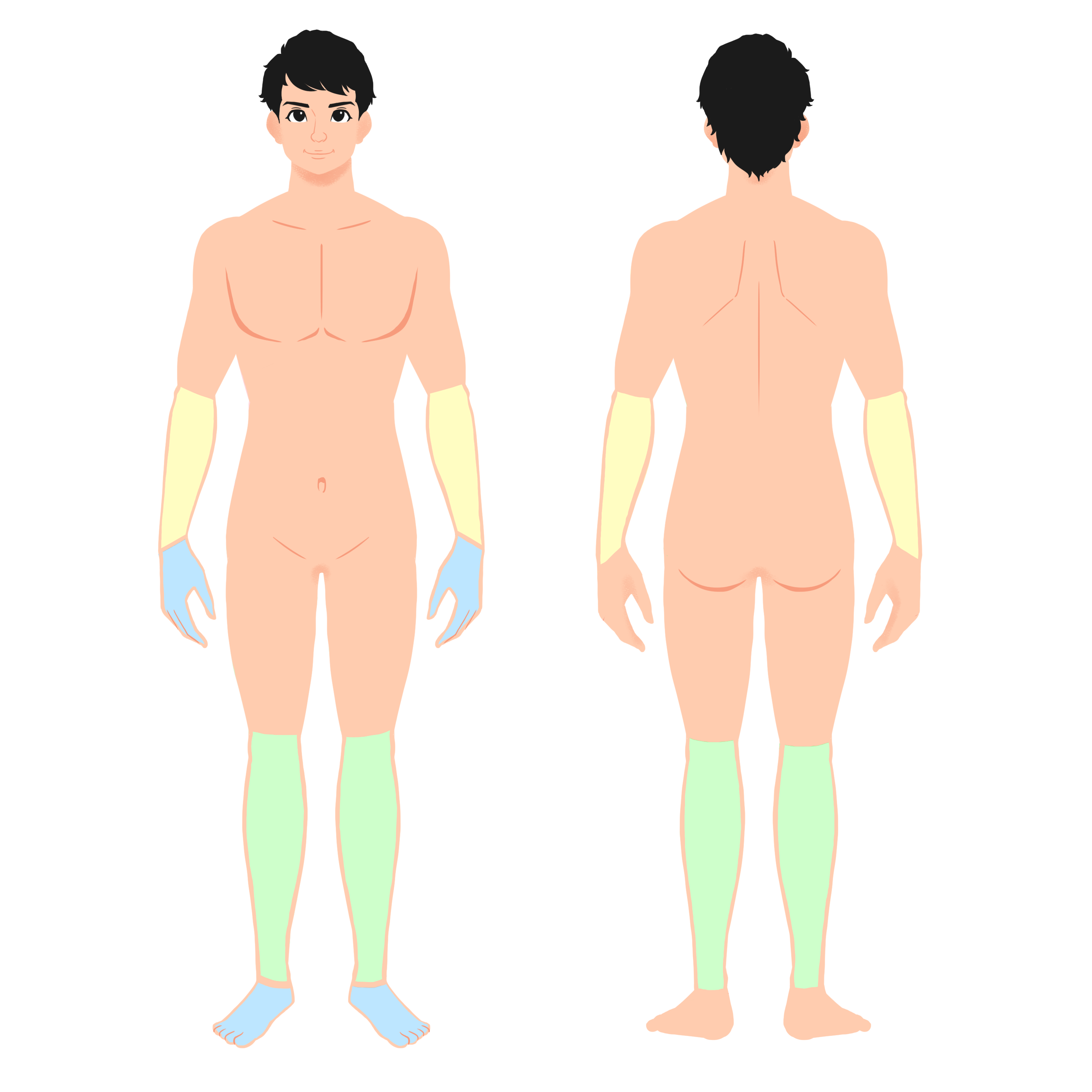 両ひじ下・両ひざ下 ※手足の甲・指も含む