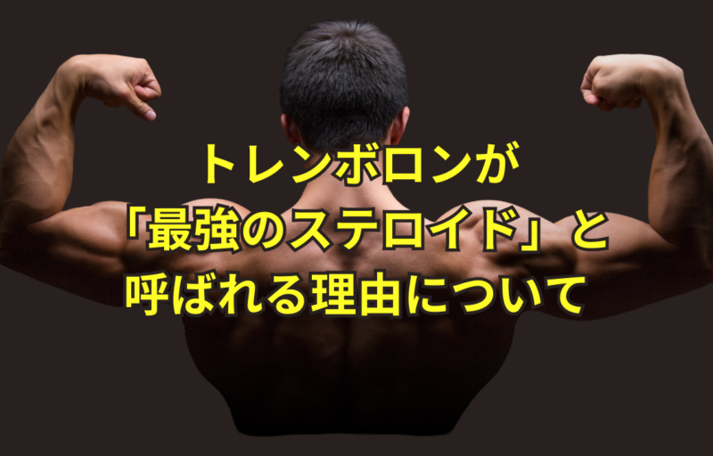 MUSCLE BUILDING | 【公式】シンメディカルクリニック